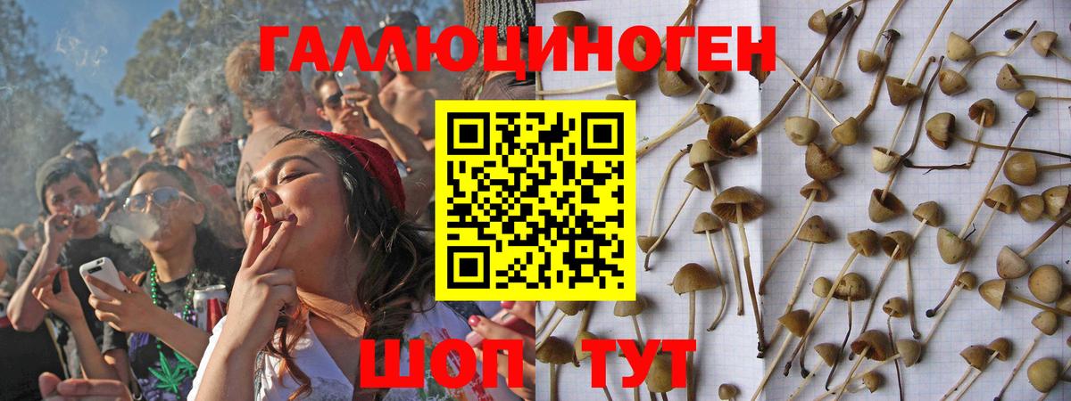 Галлюциногенные грибы GOLDEN TEACHER Выкса