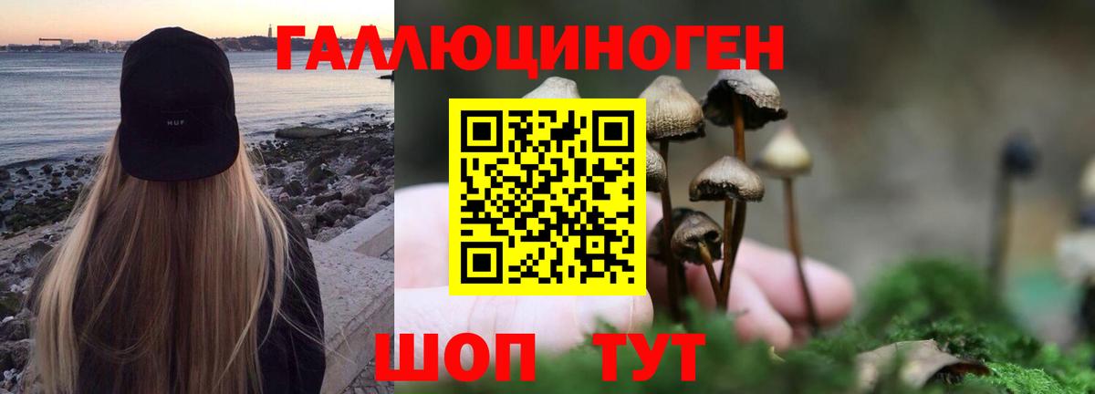Выкса  Галлюциногенные грибы прущие грибы  Вход с VPN 